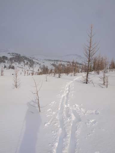 Trail-breaking starts here