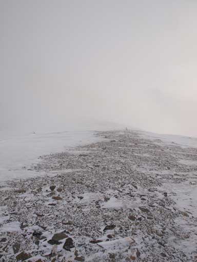 At the summit plateau. Hard to tell if it's the true summit but on my second visit here I confirmed that I did make to the top of this day.