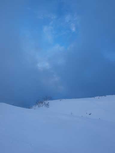 Some blue colours showed up but shortly lived.