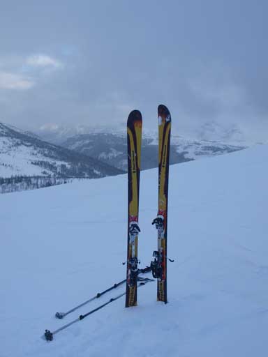 Ready to ski down the hill