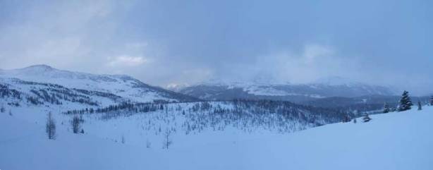 Panorama of Healy Meadows area