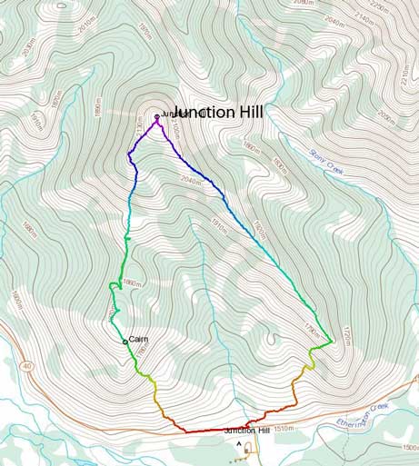 Junction Hill hiking loop