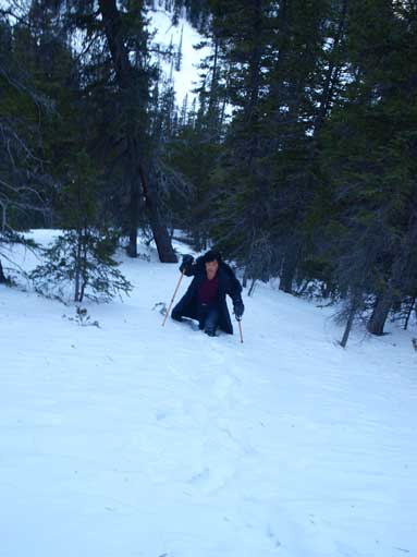 I still suggest bringing snowshoes, otherwise you'll struggling in the deep treed snow.