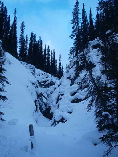 The wrong trail led to this canyon. I had to break my own trail steeply up the left bank