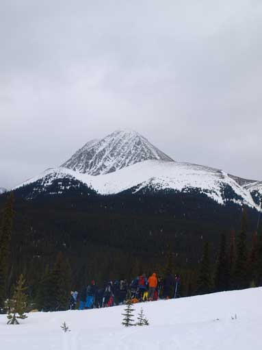 A group was studying winter travel essentials near the parking lot.