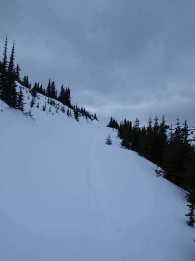 Near Signal Lookout. The trees thin out here, but view still hadn't opened up yet.