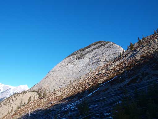 Morro Peak. Note the deadfall field