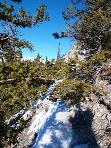 Typical terrain above the crux