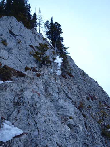 I took the bypass on the way back.