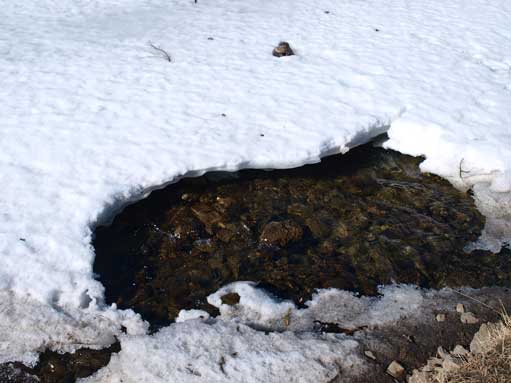 Willow Creek was thawing