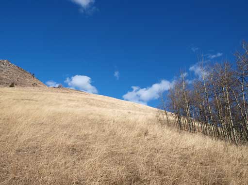 More of this grass scenery