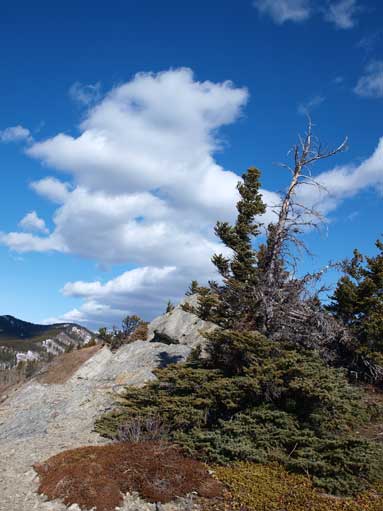 Now I made to the ridge.