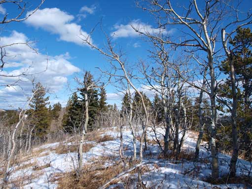 Somewhere near the summit. It was very hard to judge