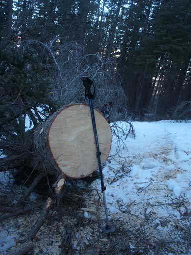Someone just did a bit of trail maintenance