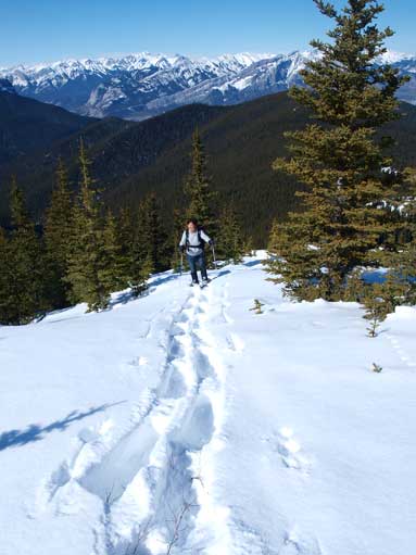 Mom following my tracks up