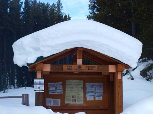 The trail-head is obvious