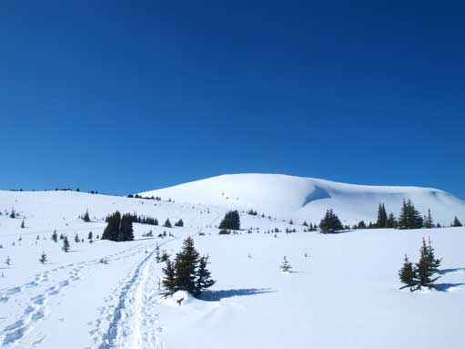 Now I'm at treeline. The peak in front of me is not the summit.