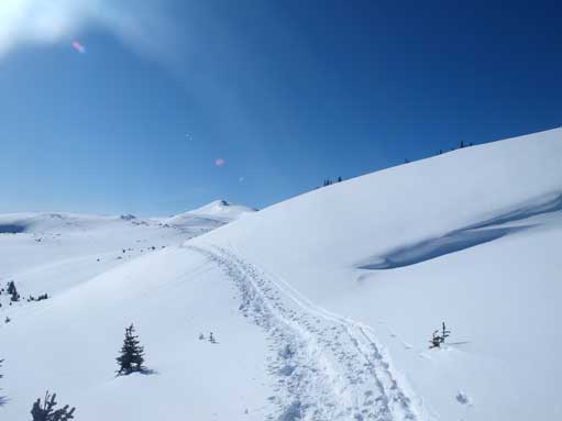 This is one of the steeper sections.