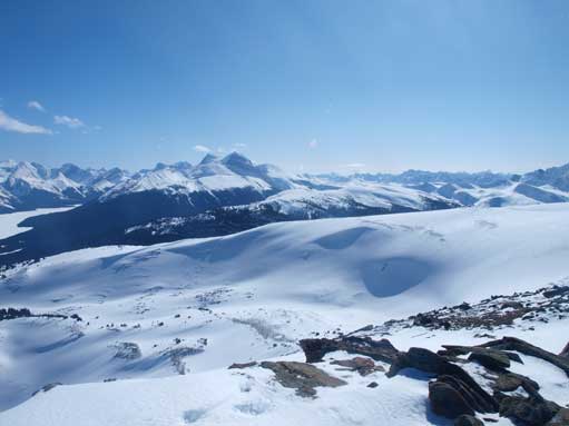 Beautiful alpine environment