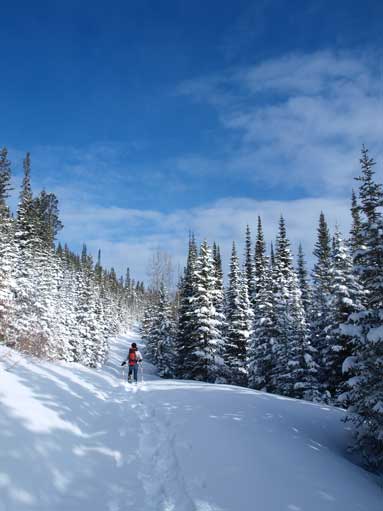 More typical view on the approach road