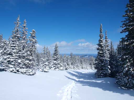 The sky was clear towards East