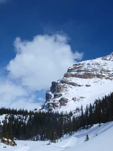 An northern outlier of Crowfoot