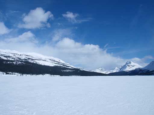 More views from Bow Lake. Bow Peak on the far right, with Hector behind it.