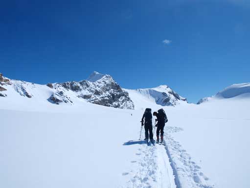 We followed a group of skiers. Olive in the background.