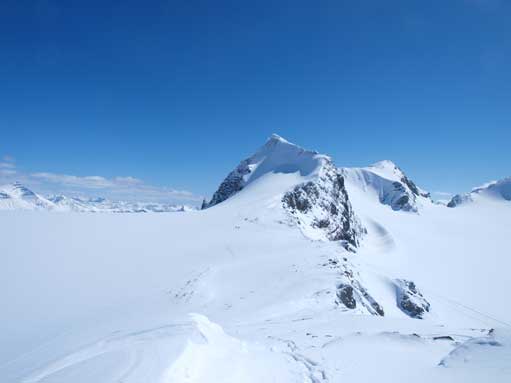 Looking back towards Olive