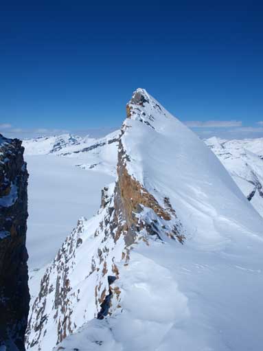 From false summit, the true peak looks intimidating!