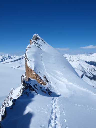 The summit block, with my tracks now