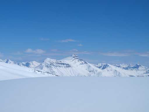 An obligatory shot of Hector