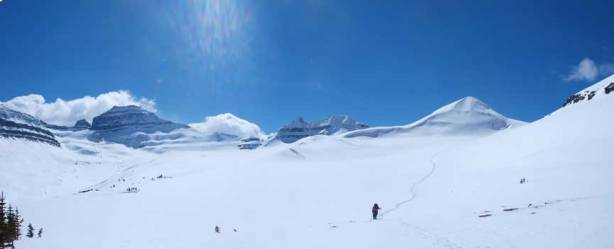 Can't get rid of the views!