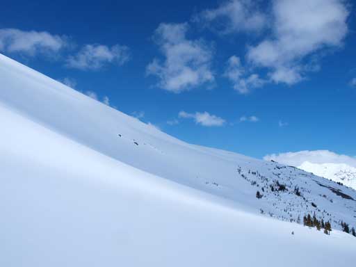 We contouring around these slopes at treeline. This slope comes down from Big Bend's false summit