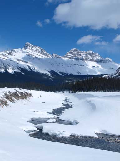 Back to the Sask River. Looking towards Cirrus Mountain. What a beautiful day!