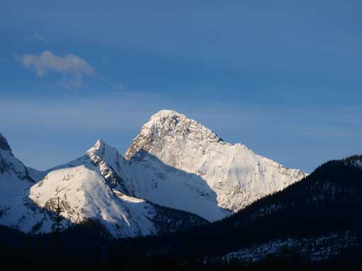 Morning view of Birdwood