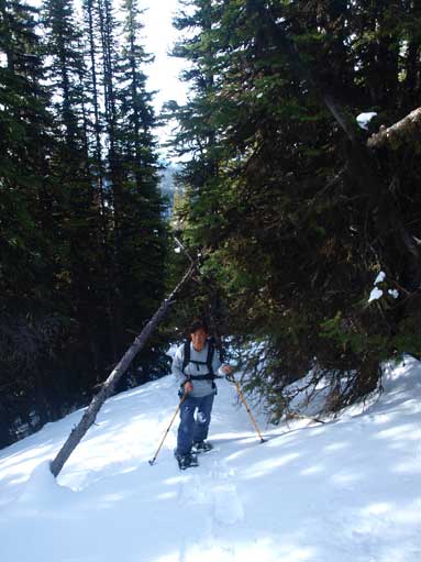 The typical forested ascent