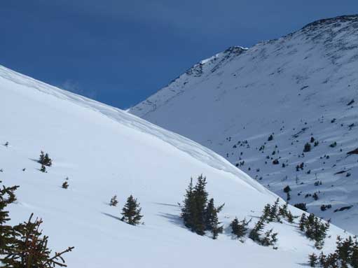 At treeline. Terrain gets exposed to avalanche