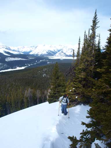 Mom sloggin' up the treed slope. There are a couple open areas that will cause avi concern in afternoon.