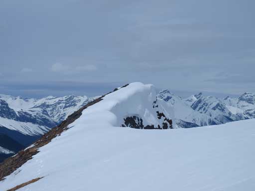 Looking back at the same cornices
