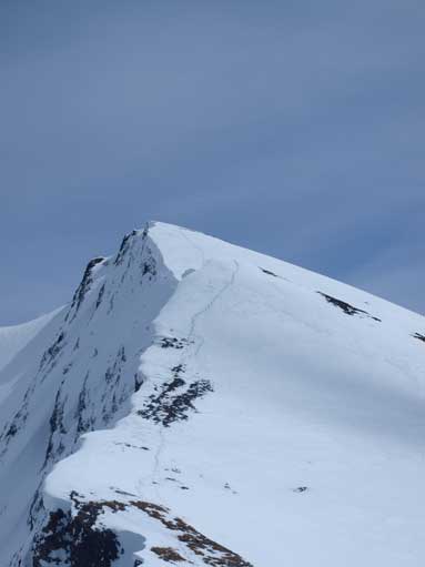 Looking back to my tracks from the descent