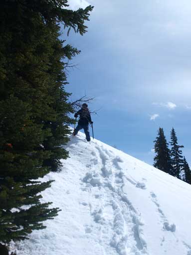 Mom coming down an open slope.