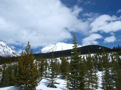 Looking up towards The Tower, with Rummel Ridge being the treed bump on right. I would never consider doing this bump if not because of following Nugara snowshoeing list.