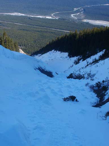 Going down the avalanche gully. Time to enter the field of debris