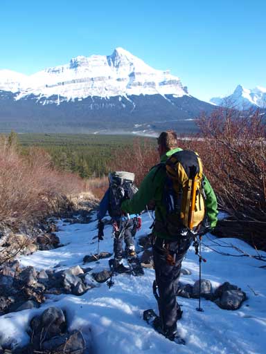Time to snowshoe off, back into the trees