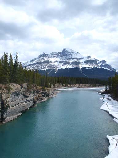 Afternoon view. I took the same photo in the morning.