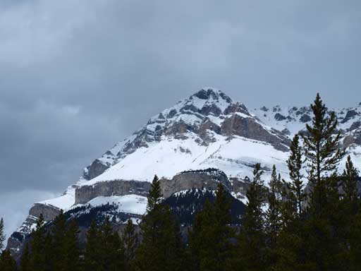 Zooming-in towards the mighty Wilson