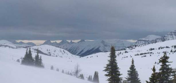 This is probably the best view I could get