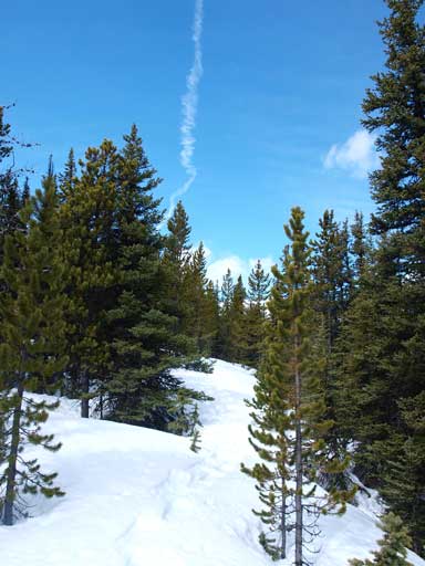 As you can see, it's definitely a snowshoeing trip, not hiking..