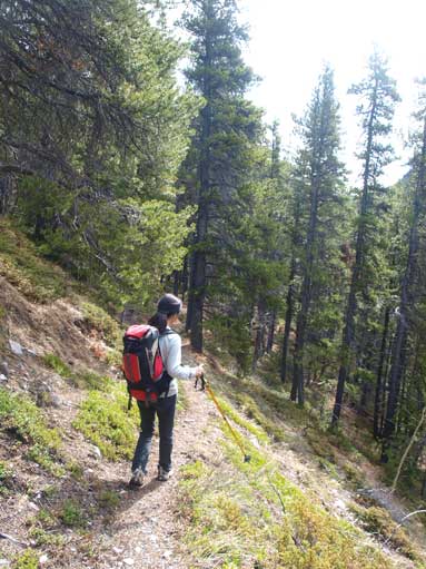 Mom walking down the correct trail.
